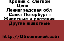 Кролик с клеткой › Цена ­ 2 000 - Ленинградская обл., Санкт-Петербург г. Животные и растения » Другие животные   